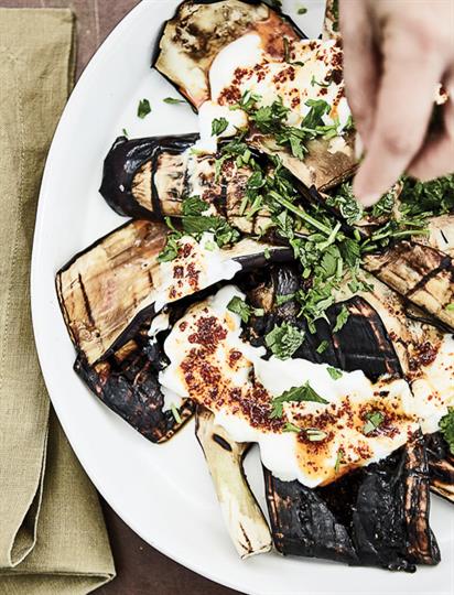 Chargrilled Eggplant with Greek Yogurt, Parsley, & Gochujang Butter