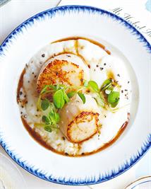 Seared Scallops with Cauliflower Pureé & Brown Butter