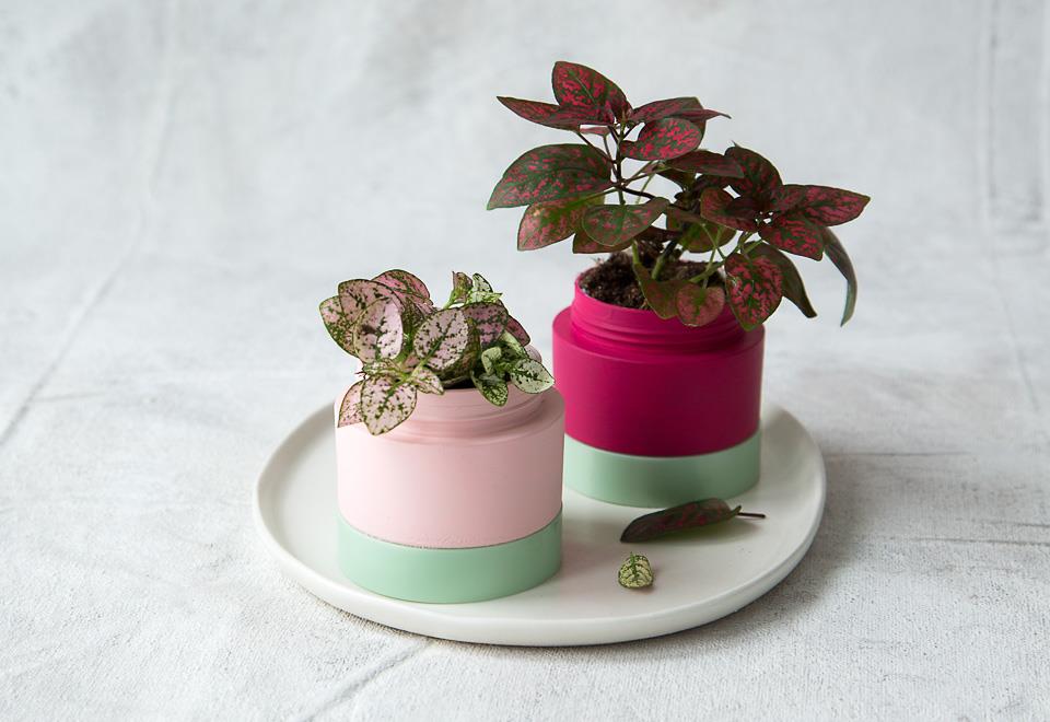Upcycled Mini-Planter Jars - Perfect for Succulents!