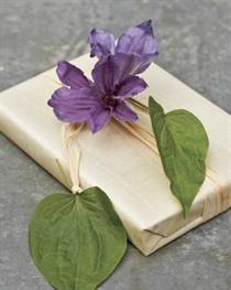 Flower Gift Wrapping