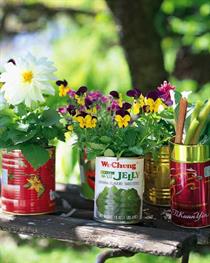 Recycled Herb Planters