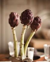 A centerpiece to talk about!