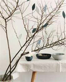 Cherry Blossom Branches