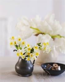 Make a Flower Statement