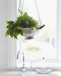 Colander Hanging Basket