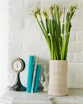 A Stylish Winter Vase