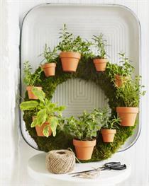 Living Herb Wreath